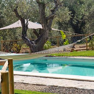 Oliveto Bed And Breakfast